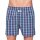 D.E.A.L. Boxershorts Check 191984