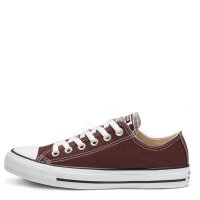 Converse Chuck Taylor All Star Classic Seasonal Color Low