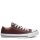 Converse Chuck Taylor All Star Classic Seasonal Color Low