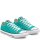 Converse Chuck Taylor All Star Classic Seasonal Color Low