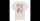 Vans Stamped T-Shirt Antique White S