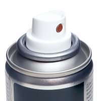 Collonil Stretch Dehnungsschaum 100ml