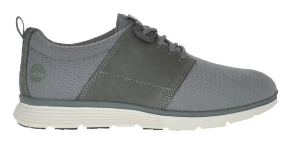 Castor Gray