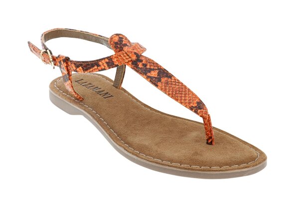 Snake Orange